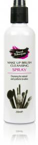 Brush Techniques Make Up Brush Cleansing Spray 250ml